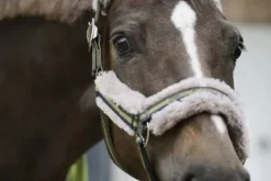 Licol Double Pin Girth Faux Fur PLATINUM 2024 - Eskadron