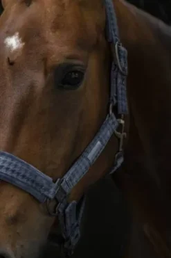 Licol Doublepin Velvet Stamp Essence 2022  - Eskadron