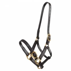 Licol en biothane Tolteam