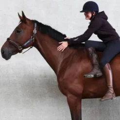 Licol en cuir et nylon Ralph - JMR PRO