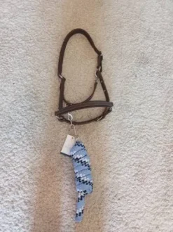 Licol en cuir Norton et longe equitheme