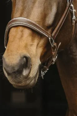 Licol en cuir Rock - Norton