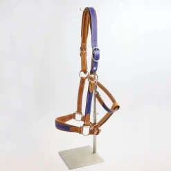 Licol Haut de Gamme en cuir - Atelier de Pravins