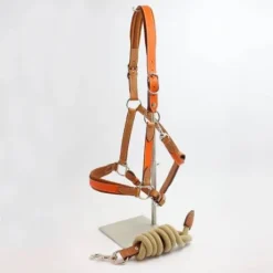 Licol Haut de Gamme en cuir + Longe - Atelier de Pravins