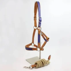 Licol Haut de Gamme en cuir + Longe - Atelier de Pravins