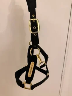 LICOL KENTUCKY VELVET