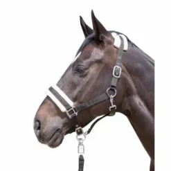 Licol mouton teddy - HKM - Confort optimal