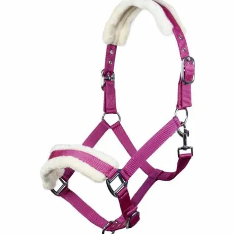 Licol mouton teddy - HKM - Confort optimal