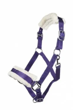 Licol mouton teddy - HKM - Confort optimal