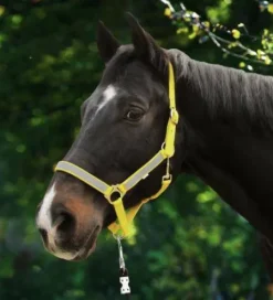 Licol Neon Reflex - Jaune