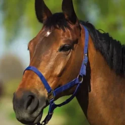 Licol nylon - Hippomat