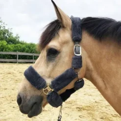 Licol nylon Douceur complet fourrure synthétique - JMR