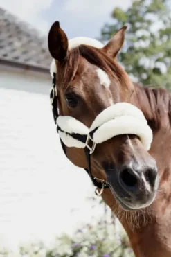 Licol nylon mouton Soft - Kentucky