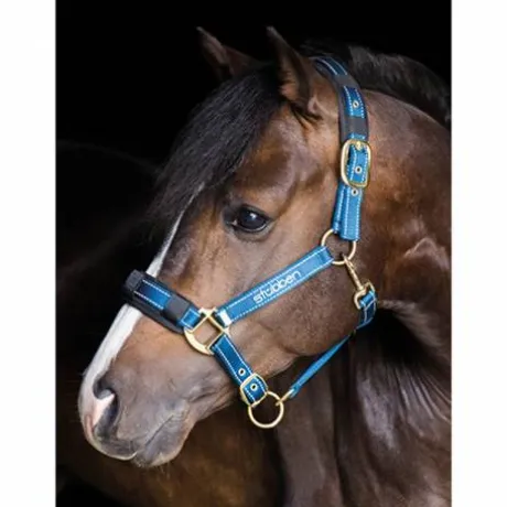 Licol reflechissant - Stubben