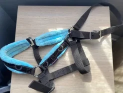 Licol taille cob/ taille 2