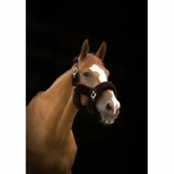 Licol Teddy brun/brun - Equi-Thème