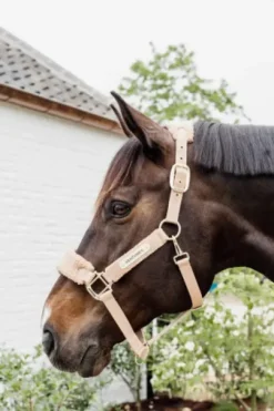 Licol Teddy Fleece - Kentucky