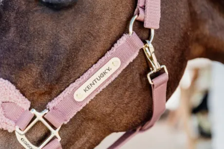 Licol Teddy Fleece - Kentucky
