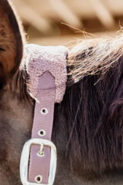 Licol Teddy Fleece - Kentucky