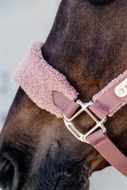 Licol Teddy Fleece - Kentucky