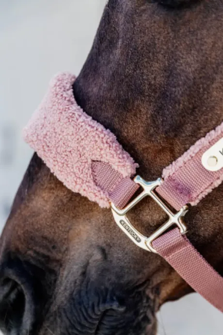 Licol Teddy Fleece - Kentucky