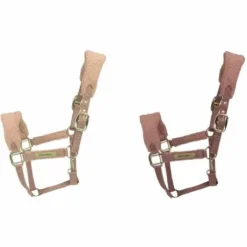 Licol Teddy Fleece - Kentucky