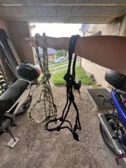 Licol éthologique beige