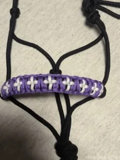 Licol éthologique+ collier d'encolure