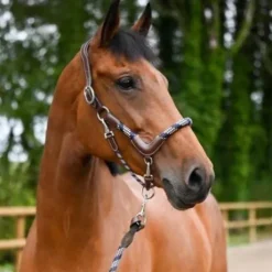 Licol travel - Collection One - Jump in