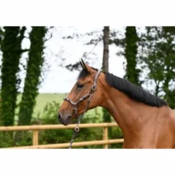 Licol travel - Collection One - Jump in