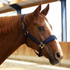 Licol Velvet - Equestre