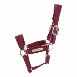 Licol Velvet Bordeaux - Kentucky