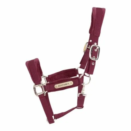 Licol Velvet Bordeaux - Kentucky