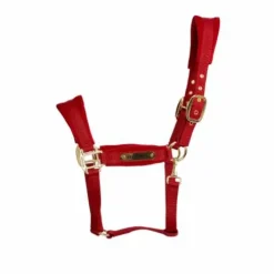 Licol Velvet Rouge - Kentucky - Détails en velours