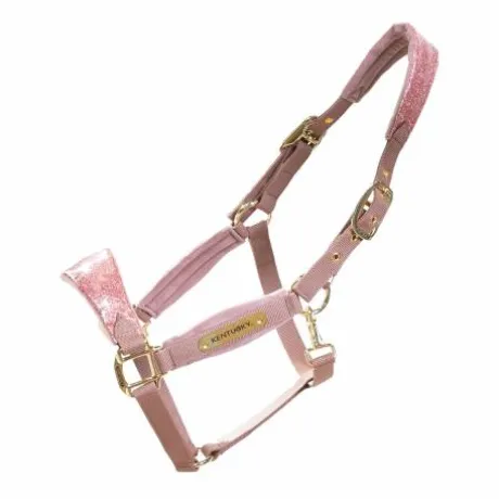 Licol velvet unicorn glitter - Kentucky - velours doux