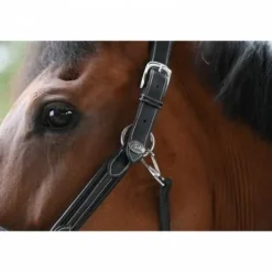 Licol wednesday - Collection Week - Jump in