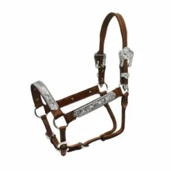 Licol Western en cuir argenté