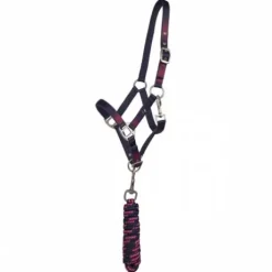 Licol+longe Jaily Ombre QHP