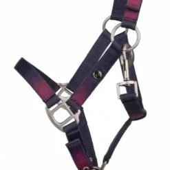 Licol+longe Jaily Ombre QHP