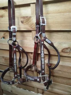 Licols western pour le show