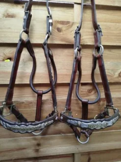 Licols western pour le show