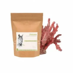 Lithotamne - Source de Calcium Cheval - Distrihorse33