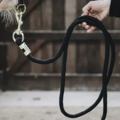 Longe Basic - Kentucky