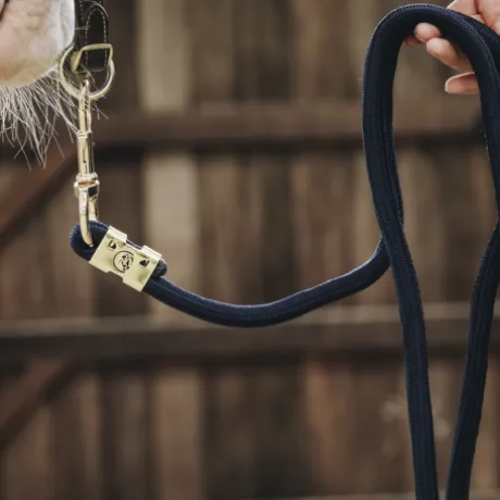 Longe Basic - Kentucky