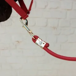 Longe Basic - Kentucky - Nylon tressé