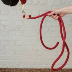 Longe Basic - Kentucky - Nylon tressé