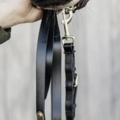 Longe de présentation - Kentucky