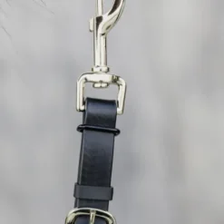 Longe de présentation - Kentucky