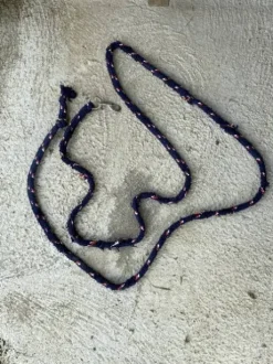 Longe d’éthologies