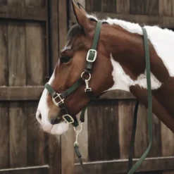 Longe en nylon tressé - Kentucky